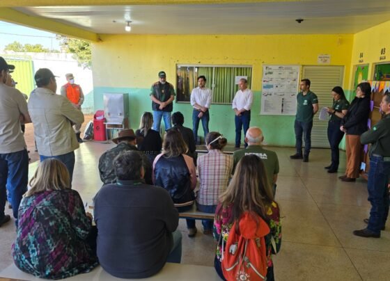 Agrodefesa intensifica medidas emergenciais para conter foco de gripe aviária em Santo Antônio da Barra