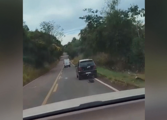 Cachorro é arrastado por carro (Foto: Reprodução)