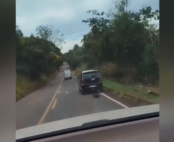 Cachorro é arrastado por carro (Foto: Reprodução)