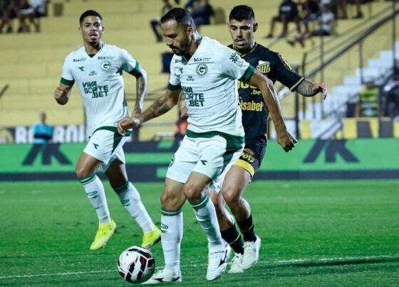 Novorizontino x Goiás
