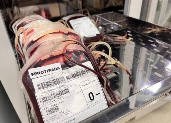 Saúde alerta para déficit do tipo sanguíneo O negativo e convoca população a realizar doações