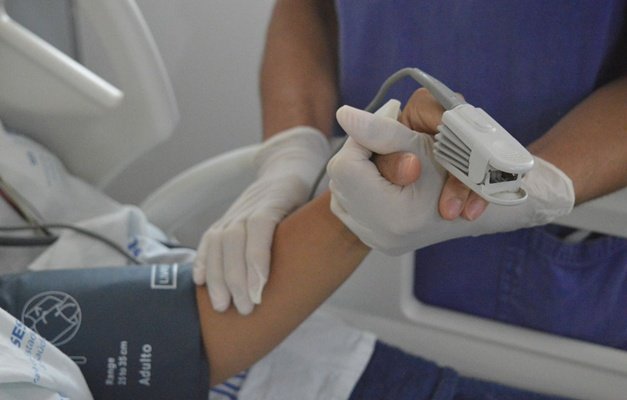 Tempo seco eleva casos de acidentes com animais peçonhentos em Goiás