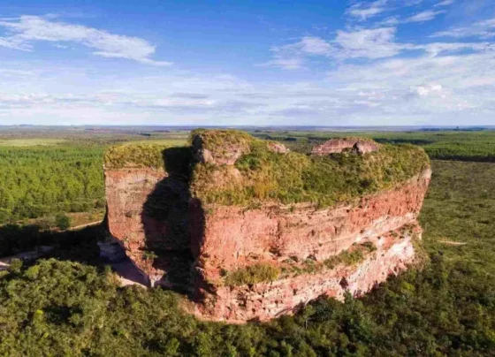 cerrado-jalapao-bioma-1-e1693577140350