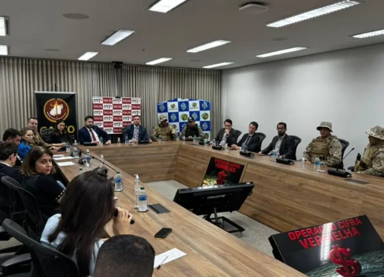 WhatsApp Image 2025-11-18 at 19.03.13