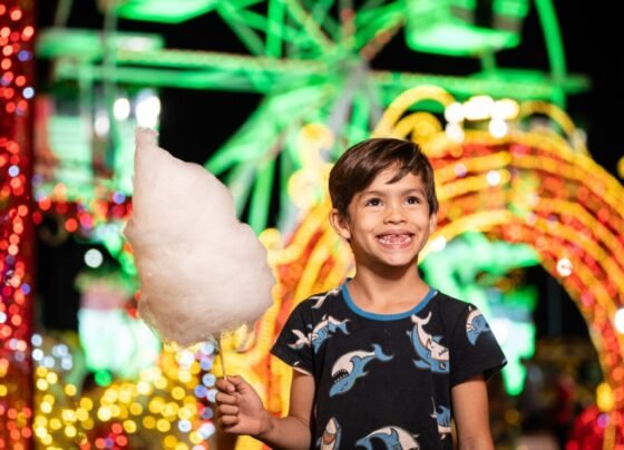 Garotinho em frente à roda-gigante do Natal do Bem