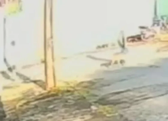 Tutor do pitbull conseguiu conter o animal - (Foto: reprodução)