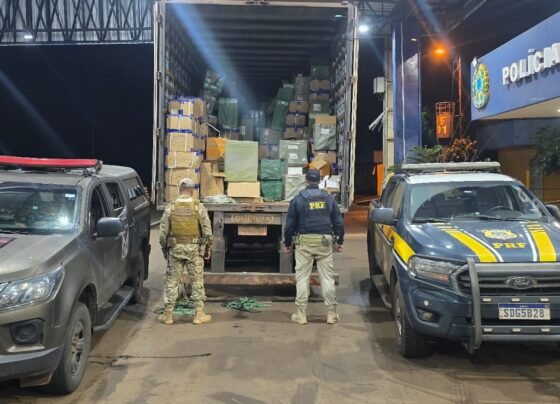 Material apreendido (Foto: divulgação)