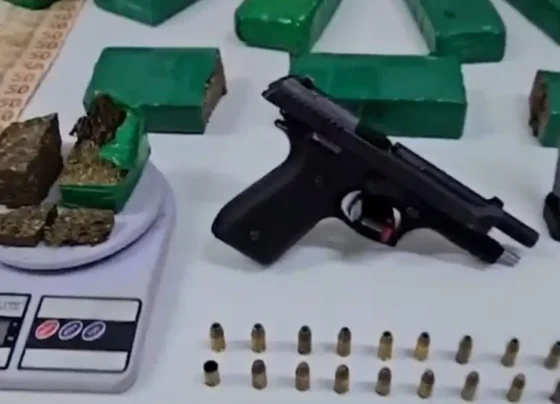 Arma e drogas apreendidas - (Foto: reprodução/PCDF)